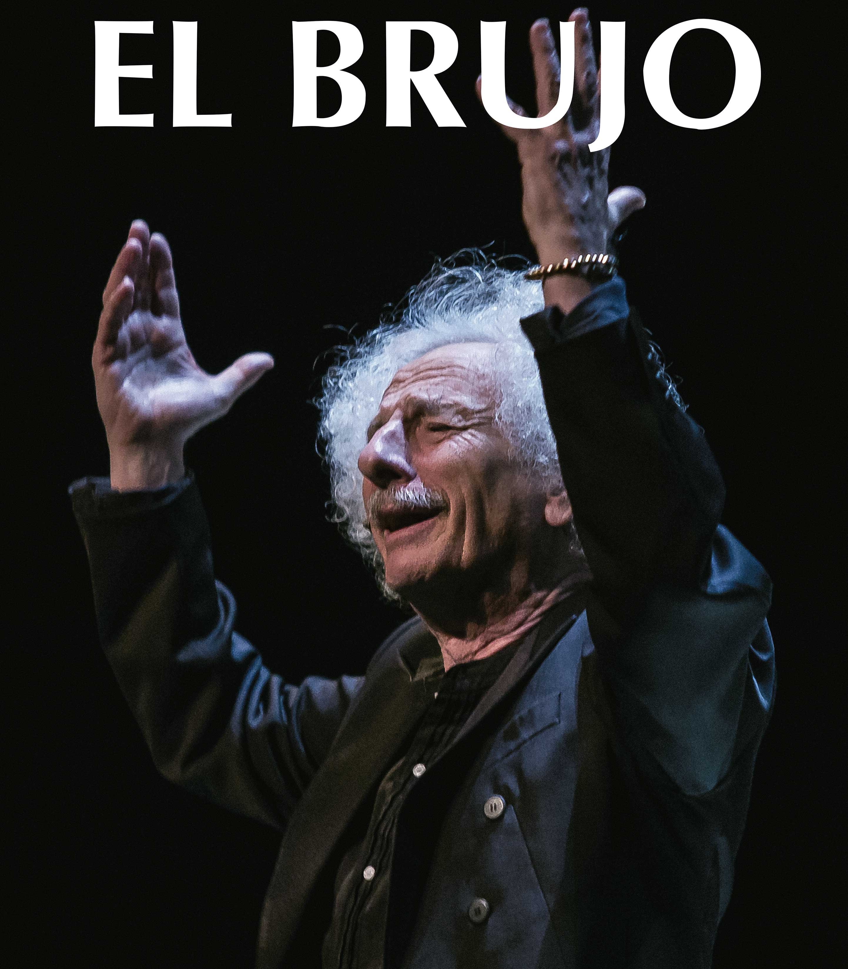 El brujo la luz oscura web