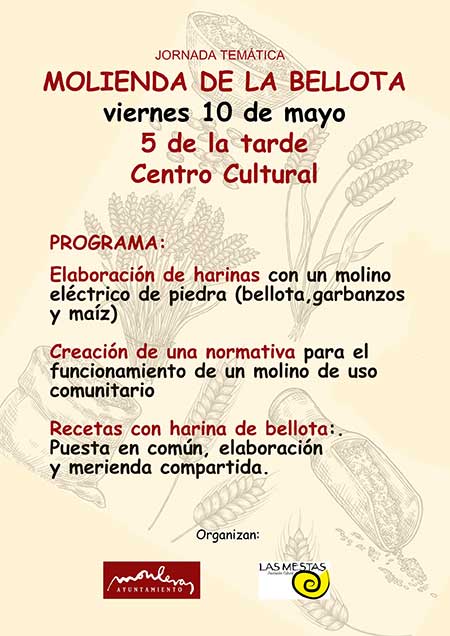 Jornada Molienda peque